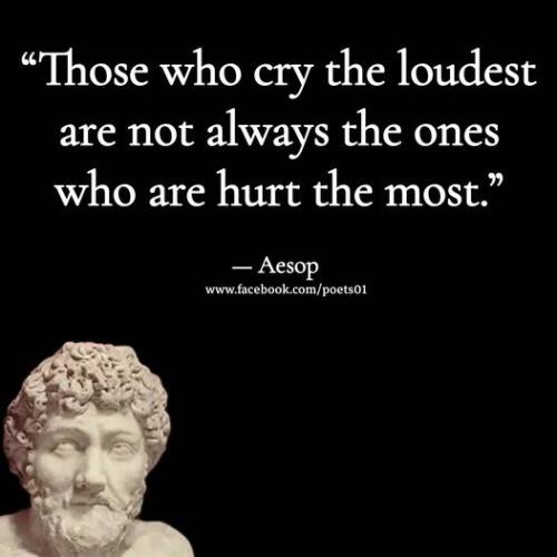 306667007_428541086010830_941850206614287588_n