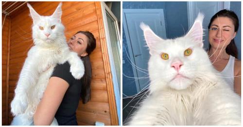 ,                                                                                                                                                                                                                          0 g