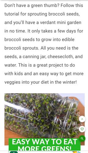 Screenshot_2022-09-01-10-42-18-815_com.android.chrome