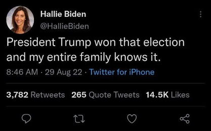 voterfraud345