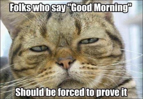 folks who say good morning