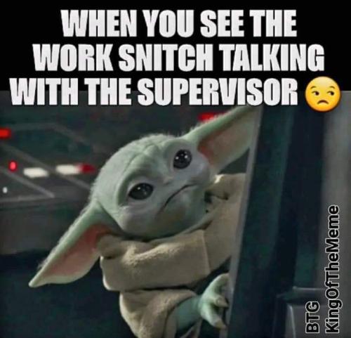 FB_IMG_1662917995817