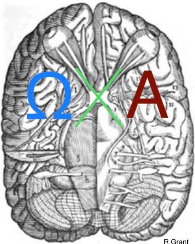 IMG_20220719_075847_874