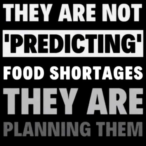 Food Shortages 1