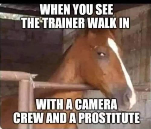 FB_IMG_1663654730884