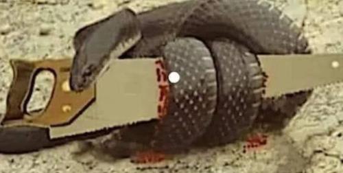 Screenshot_20220928-114756_Instagram