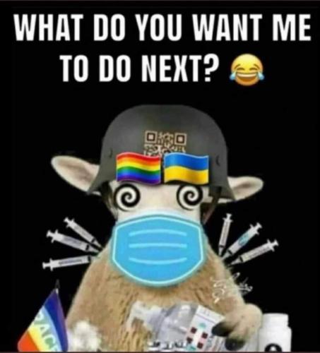 FB_IMG_1662132029736