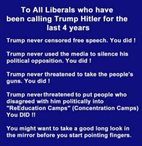 Trump Hitler 1