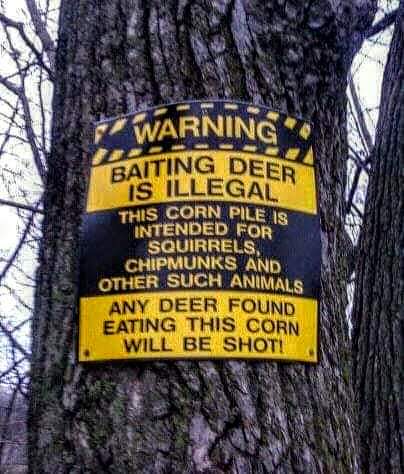 FB_IMG_1662583146185