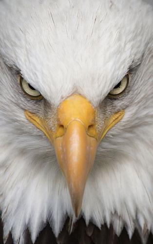 tumblr_55b12ec1b4e6d7882e55d0cdd8839ca3_0625f8ec_640