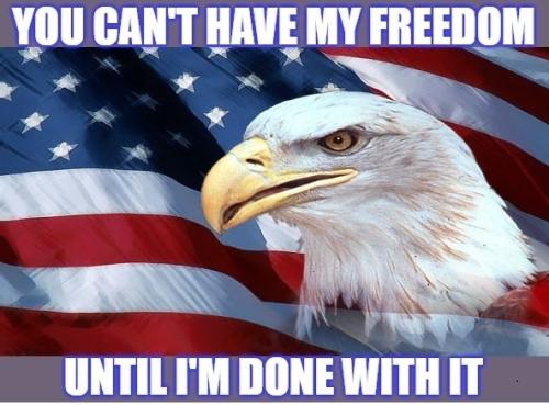 Freedom American Eagle 2