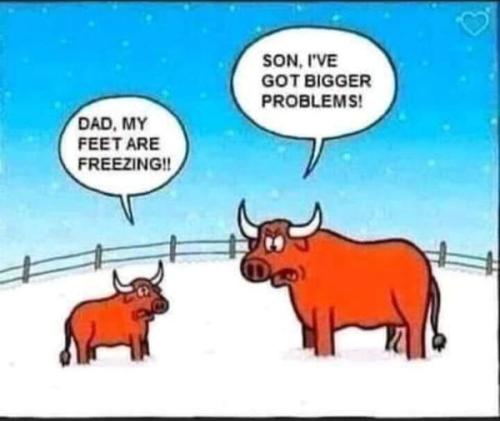 307016509_127483880056935_9065618318387376858_n