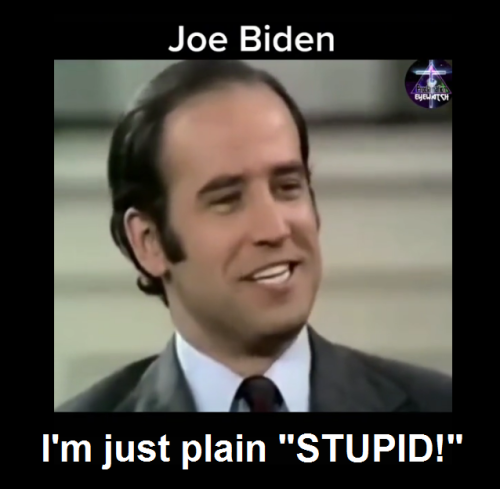 306058006_338453561771508_687468938843553223_n