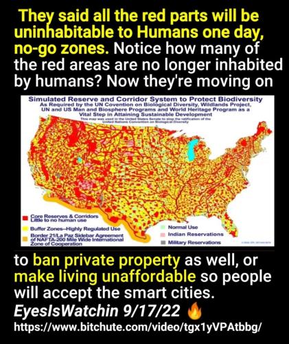 Screenshot_2022-09-20-09-01-32-369_com.google.android.apps.photos