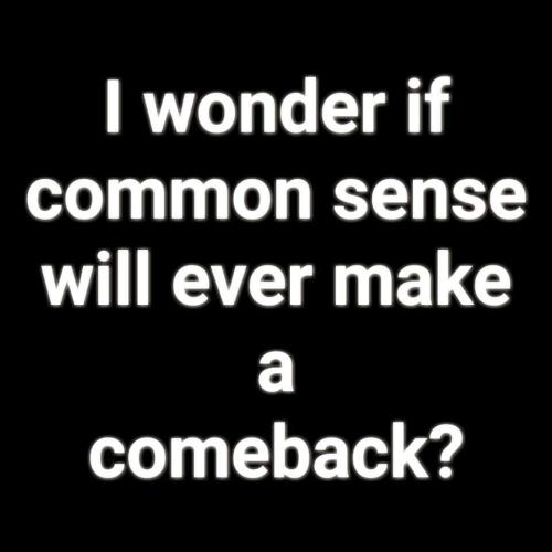 FB_IMG_1663255726280