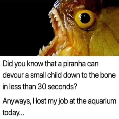 FB_IMG_1662575042415