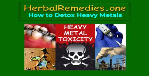 HerbalRemedies.one How to Detox Heavy Metals