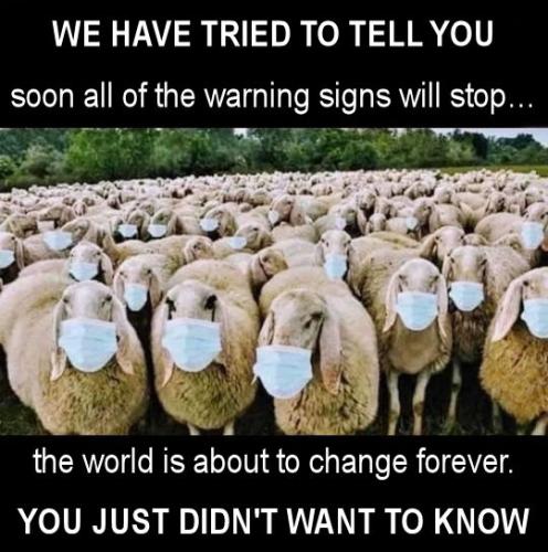sheeple60