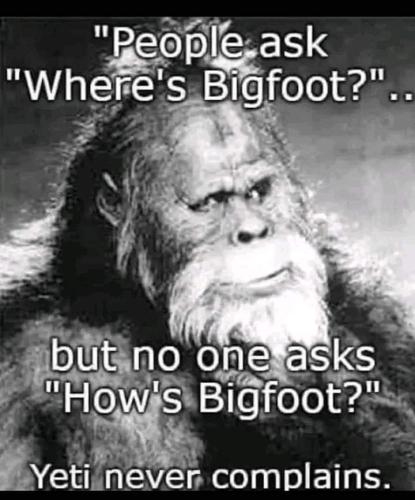 FB_IMG_1662377249323