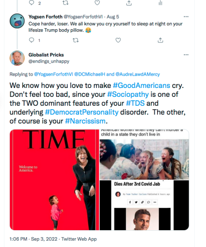 @YogsenFortothVI Yogsen Forfoth frothing fascist leftard liar Screen Shot 2022-09-03 at 1.06.29 PM