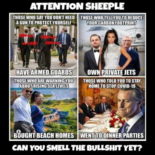 Attention sheeple can you smell the bullshit yet 800px
