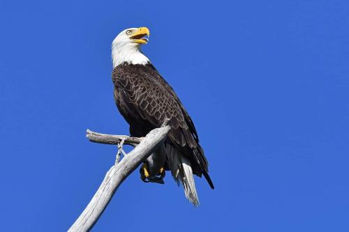 FB_IMG_1644729852953