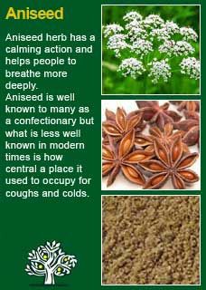 03:31:07 GMT-0500 (CDT)