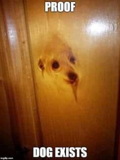 307883893_5857766720922743_3208680985662975191_n