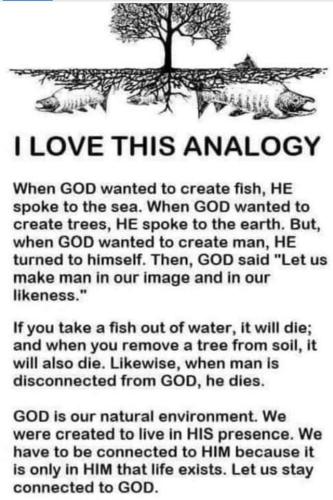 FB_IMG_1663624549031