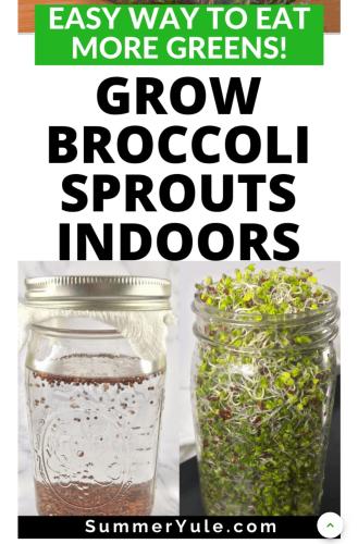 Screenshot_2022-09-01-10-50-20-307_com.android.chrome