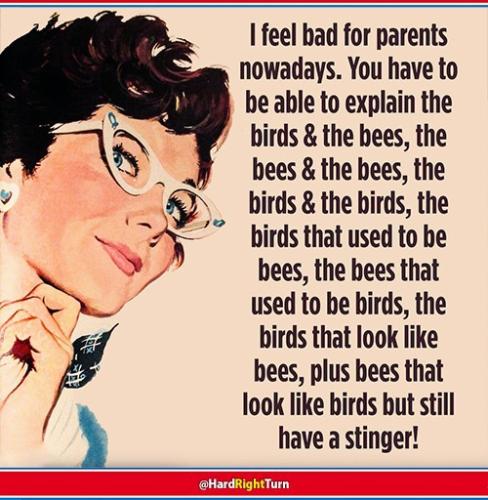 54734572-3f65-4b8e-8842-fd702a6388d4