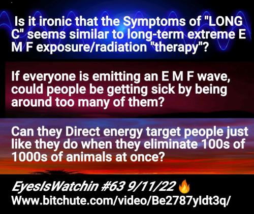 Screenshot_2022-09-16-06-59-55-809_cn.wps.moffice_eng