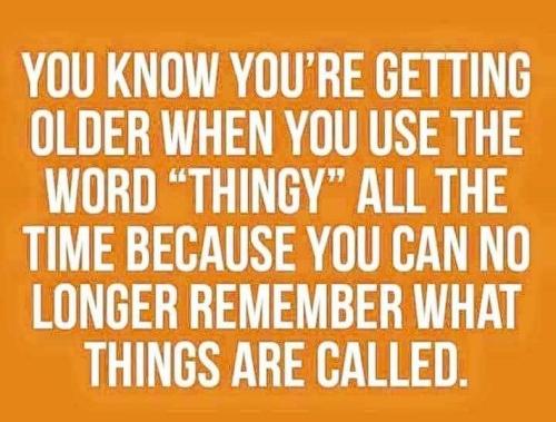 305190986_5600813579961355_3068774703301808949_n