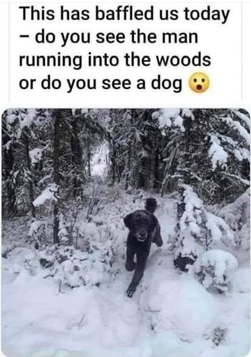 FB_IMG_1663353904015