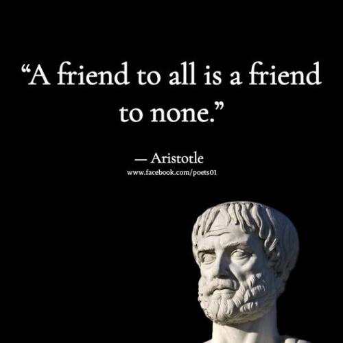 305755606_424954353036170_7140717877163626099_n