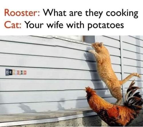 FB_IMG_1663654277246