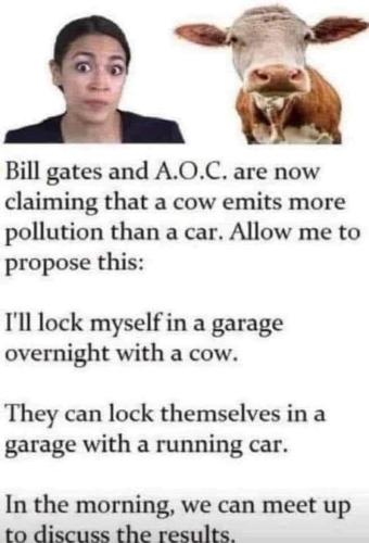 FB_IMG_1663605612761
