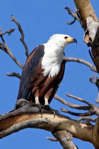 FB_IMG_1647449124047