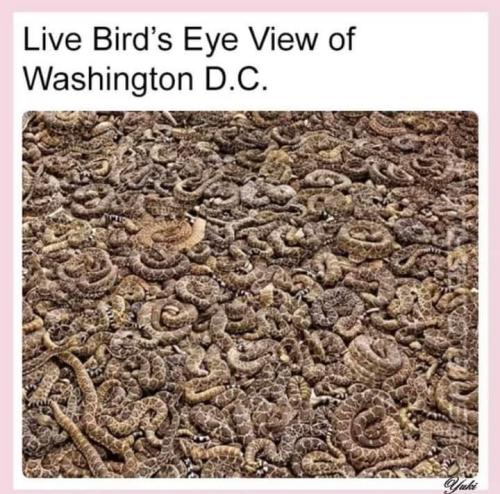 FB_IMG_1663215575707