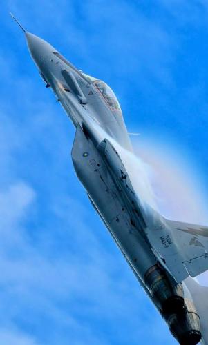 305541061_3340075292877806_2550385468620741090_n