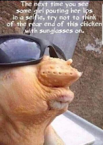 FB_IMG_1663602024328