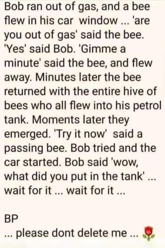 FB_IMG_1663914102580