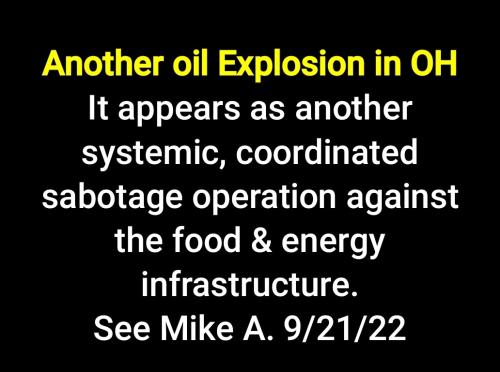 Screenshot_2022-09-21-19-38-10-155_cn.wps.moffice_eng