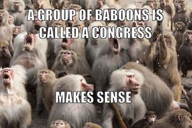 Congress 1