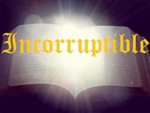 FB_IMG_1657408025059