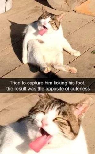 FB_IMG_1664215251229