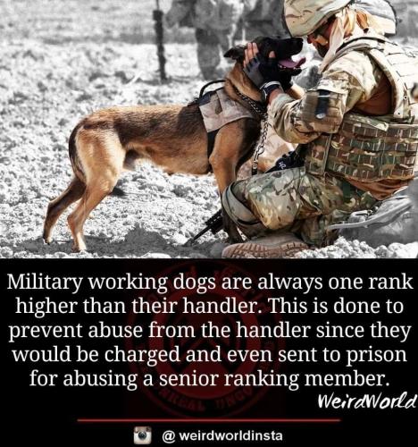 FB_IMG_1662312224678