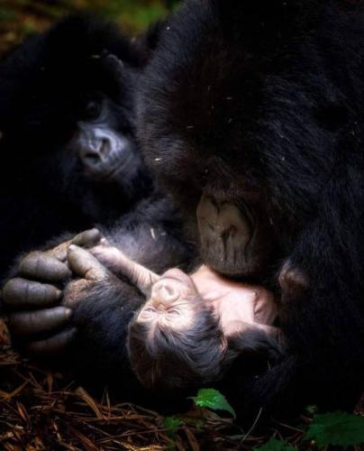 tumblr_6516f6fce9fbadfb32548f657d10fb0c_c85a5f7b_540