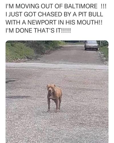 FB_IMG_1662754955541