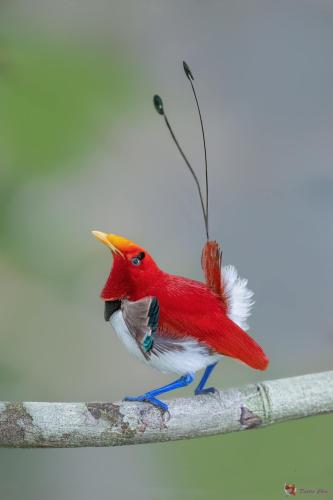 303313922_5248478721929536_3965138884759164695_n